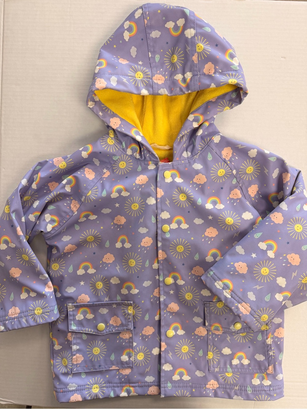 Powell Craft Sunshine Rainbow Lavender Raincoat 2/3